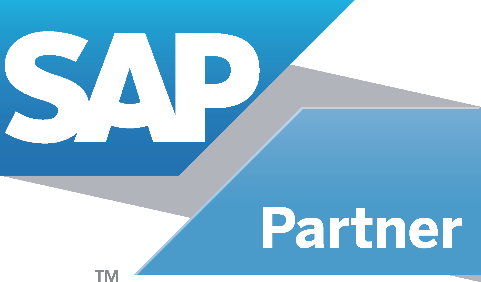 SAP Gold Partner